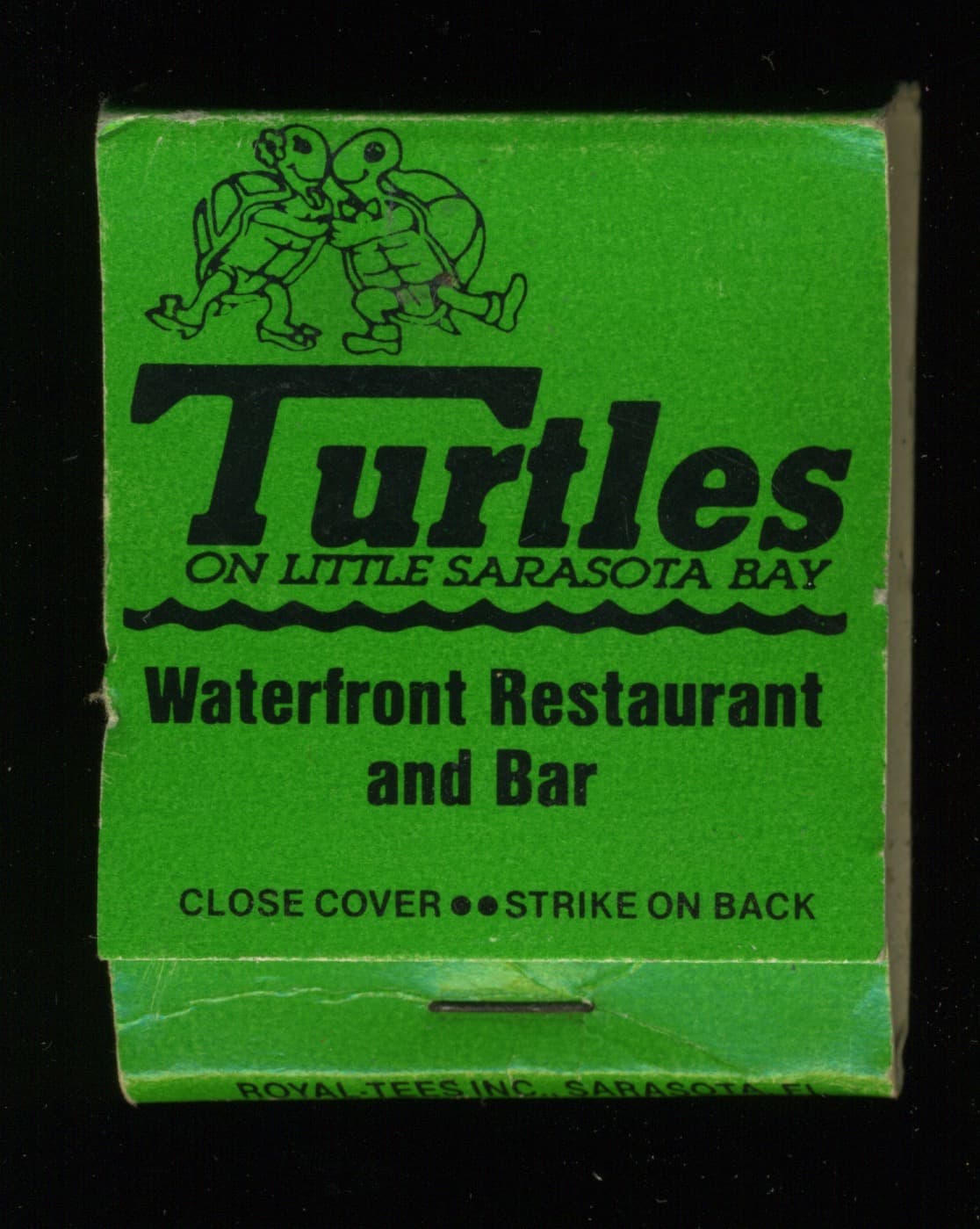 Turtles - back